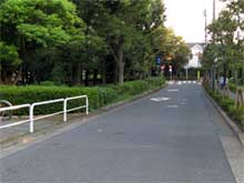 サンプル写真